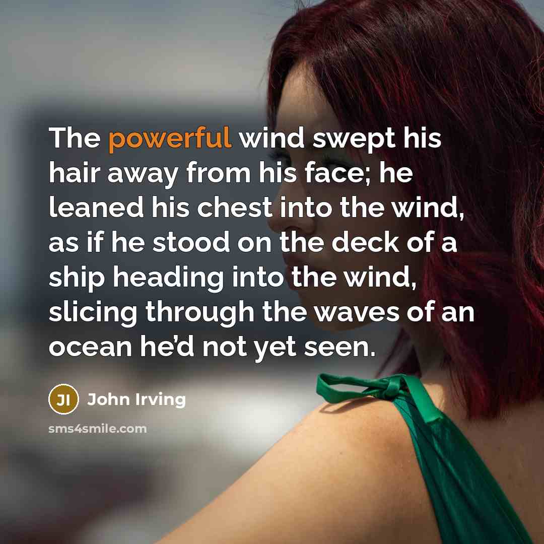 “The powerful wind swept his hair away from his face;…” quote by John Irving