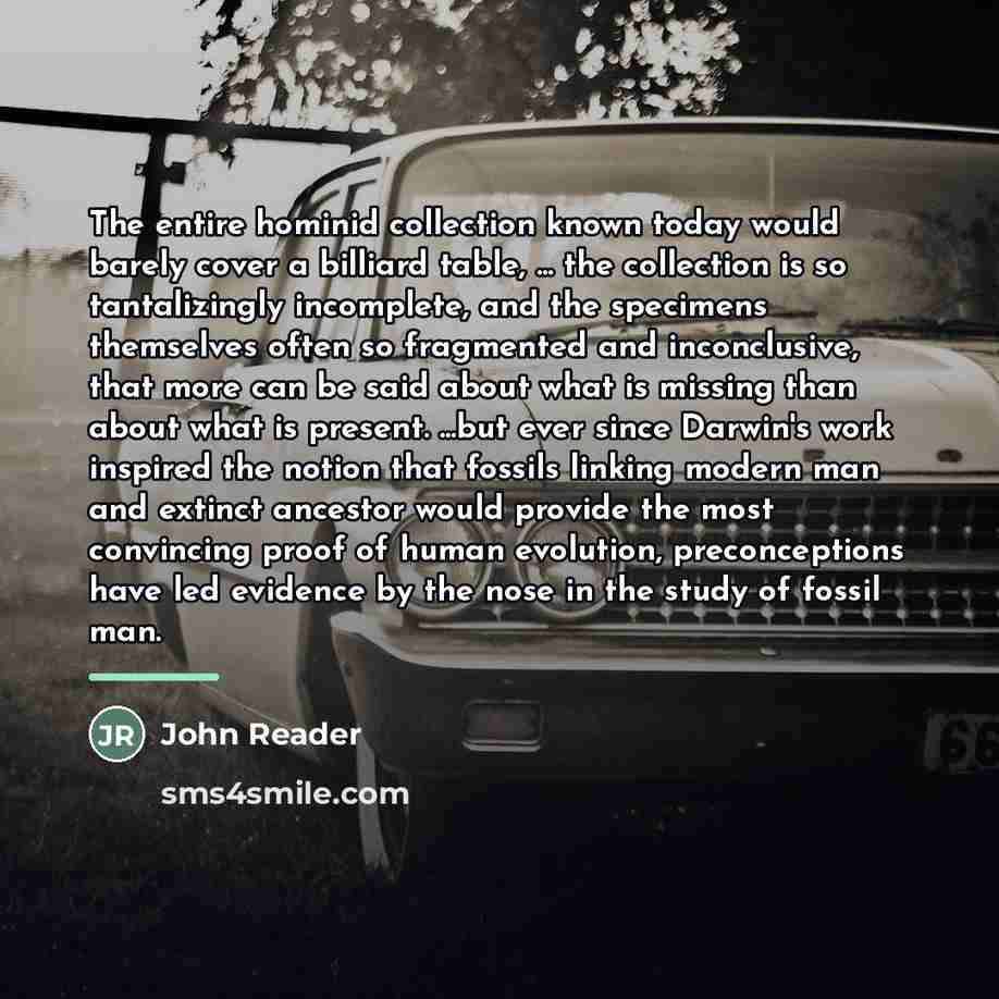 “The entire hominid collection known today would barely cover a…” quote by John Reader