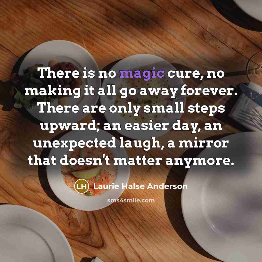 “There is no magic cure, no making it all go…” quote by Laurie Halse Anderson
