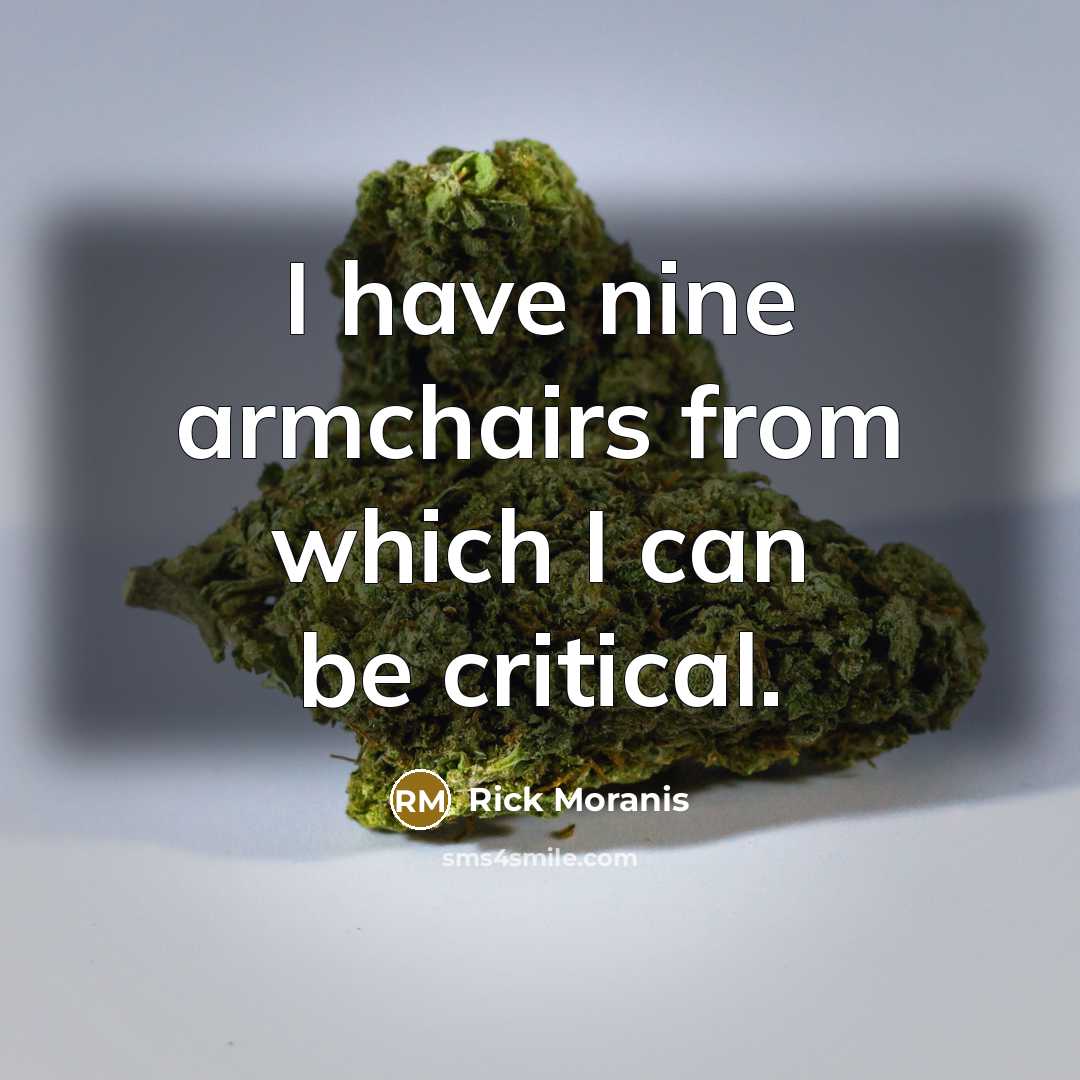 “I have nine armchairs from which I can be critical.…” quote by Rick Moranis
