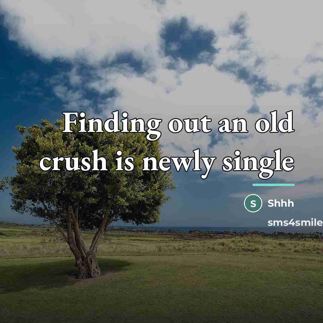 “Finding out an old crush is newly single…” quote by Shhh