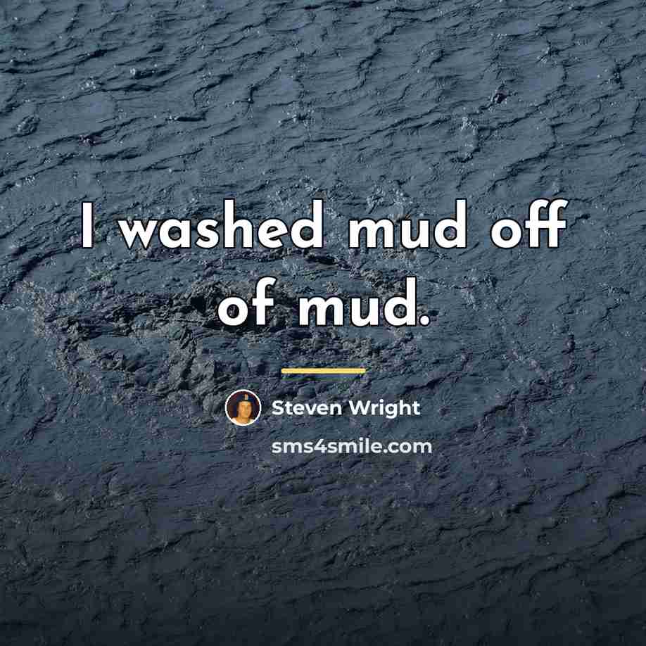 “I washed mud off of mud.…” quote by Steven Wright
