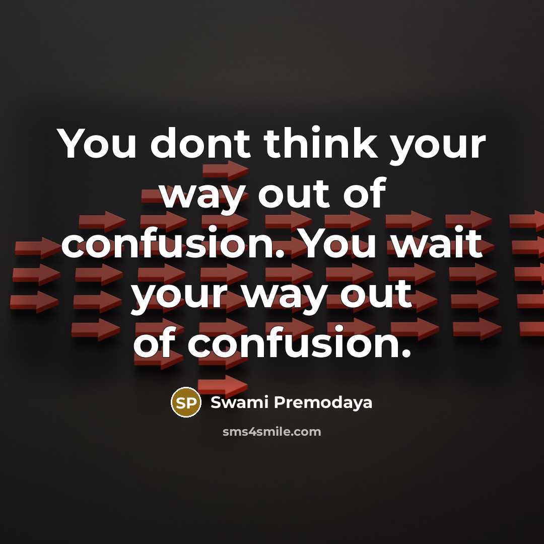 “You dont think your way out of confusion. You wait…” quote by Swami Premodaya