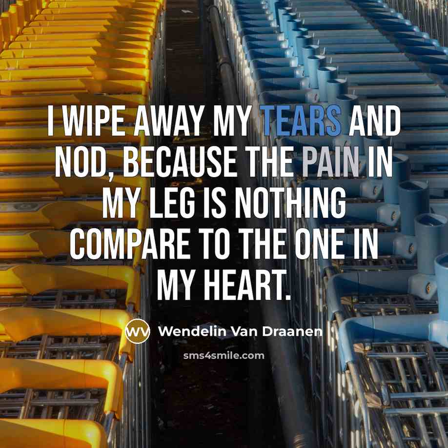 “I wipe away my tears and nod, because the pain…” quote by Wendelin Van Draanen