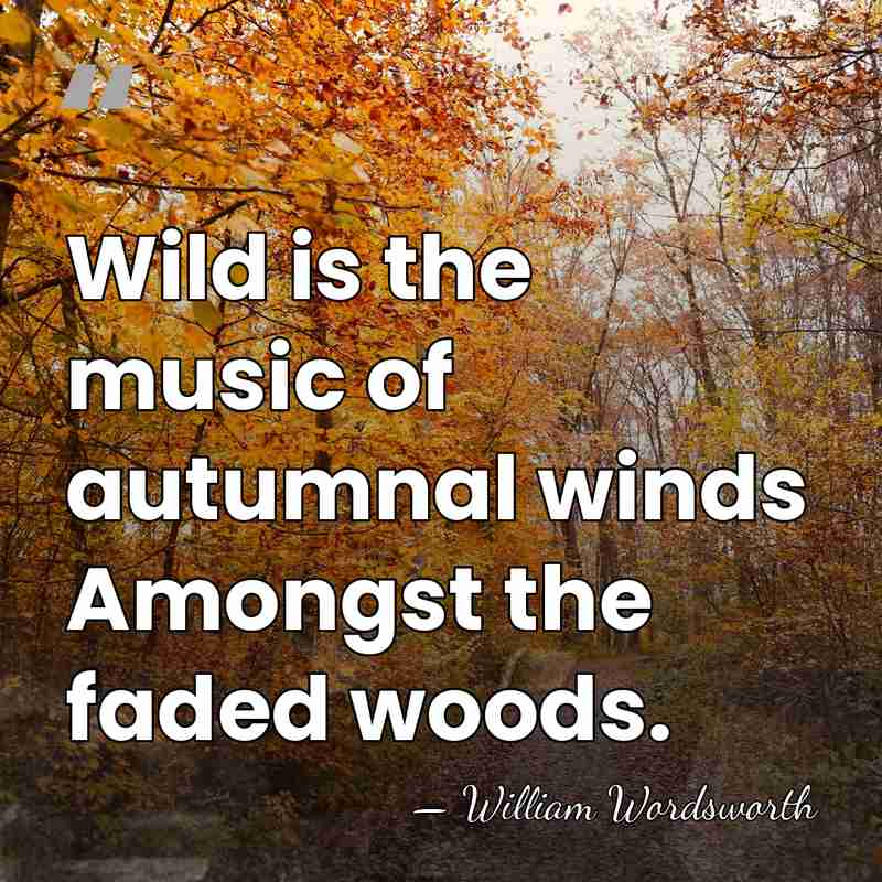 Wild is the music of autumnal winds Amongst the faded woods. - William Wordsworth