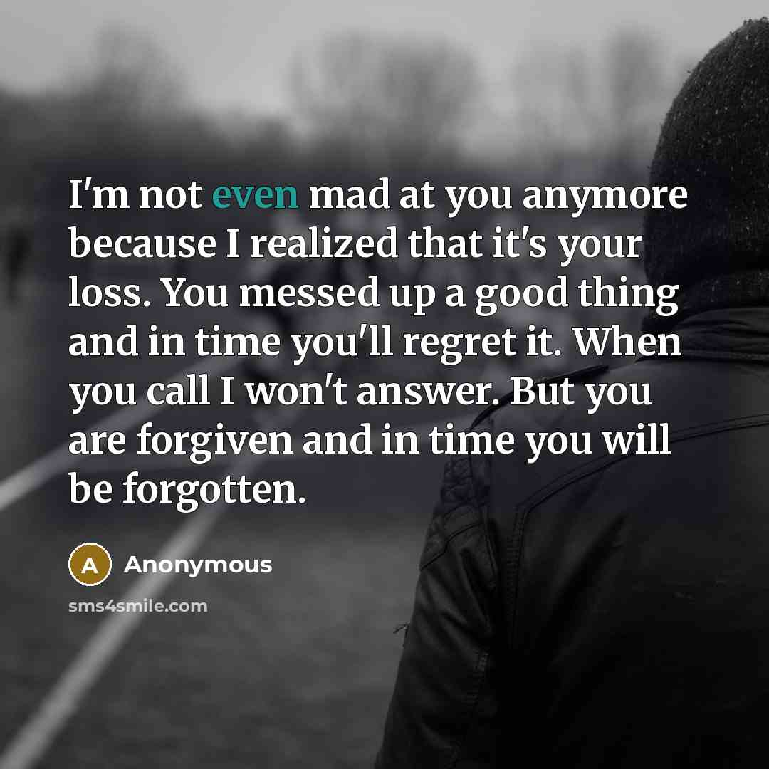 “I'm not even mad at you anymore because I realized…” quote by Anonymous