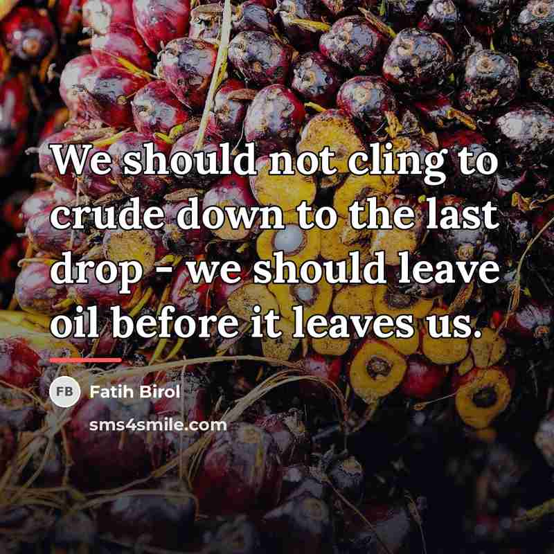 “We should not cling to crude down to the last…” quote by Fatih Birol