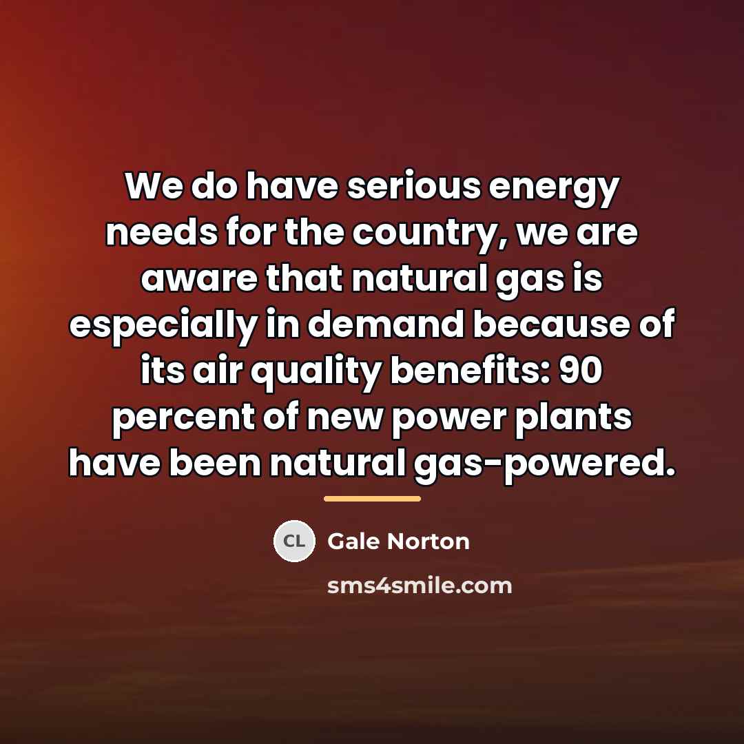 “We do have serious energy needs for the country, we…” quote by Gale Norton