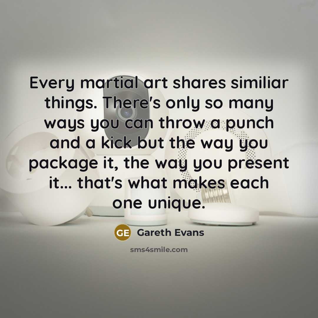 “Every martial art shares similiar things. There's only so many…” quote by Gareth Evans