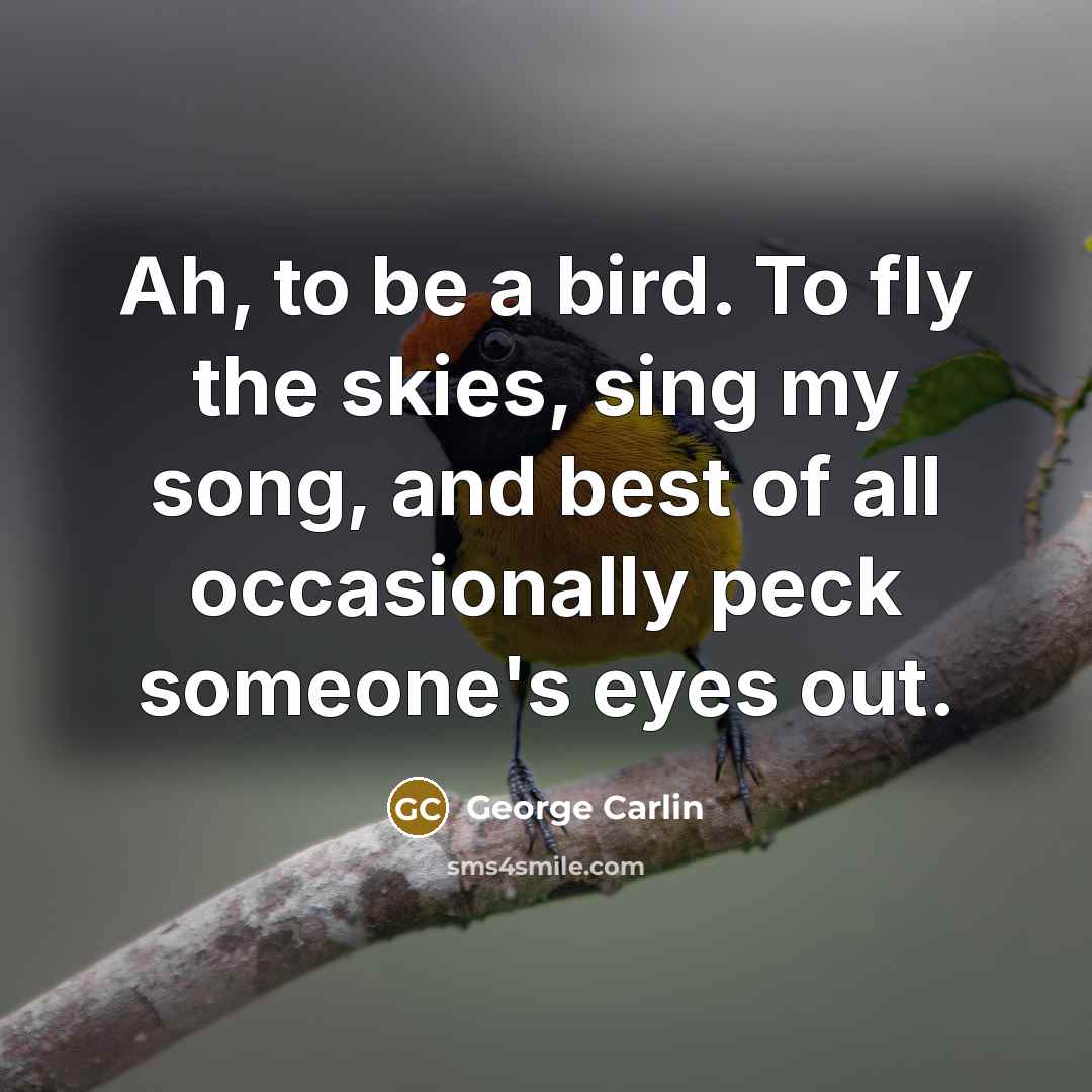 “Ah, to be a bird. To fly the skies, sing…” quote by George Carlin