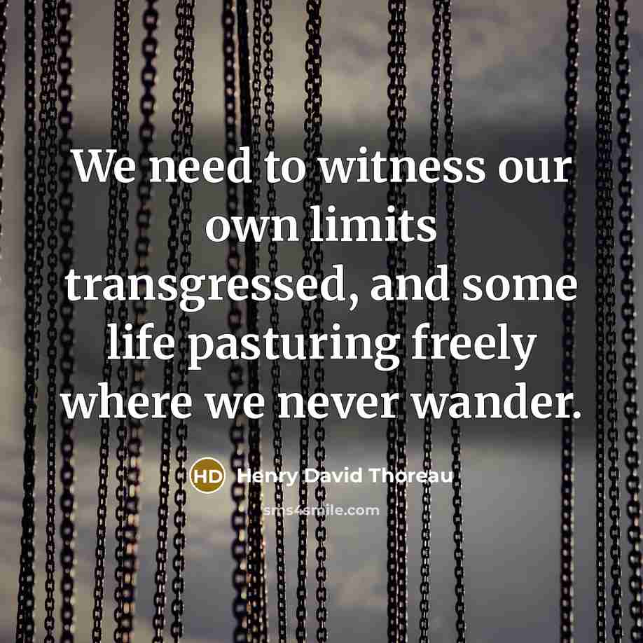 “We need to witness our own limits transgressed, and some…” quote by Henry David Thoreau