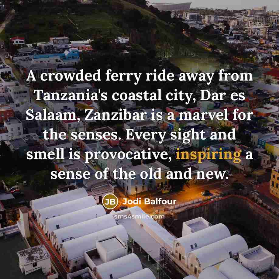 “A crowded ferry ride away from Tanzania's coastal city, Dar…” quote by Jodi Balfour