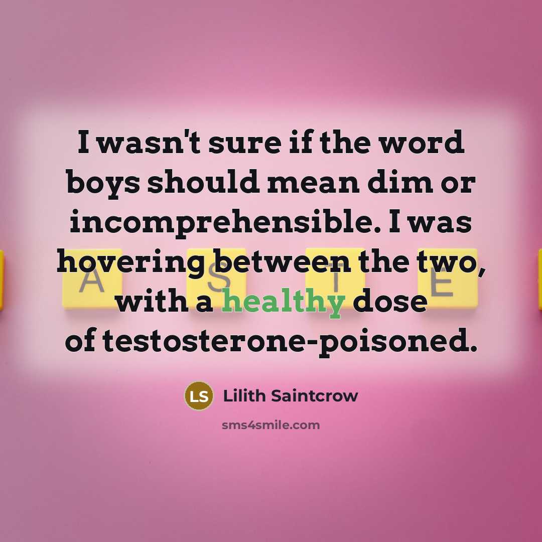 “I wasn't sure if the word boys should mean dim…” quote by Lilith Saintcrow