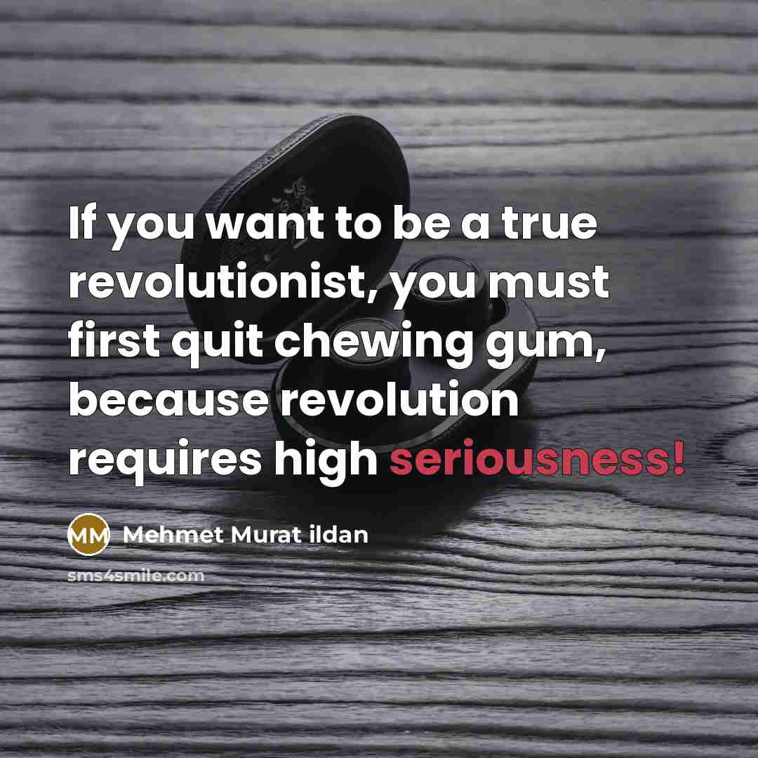“If you want to be a true revolutionist, you must…” quote by Mehmet Murat Ildan