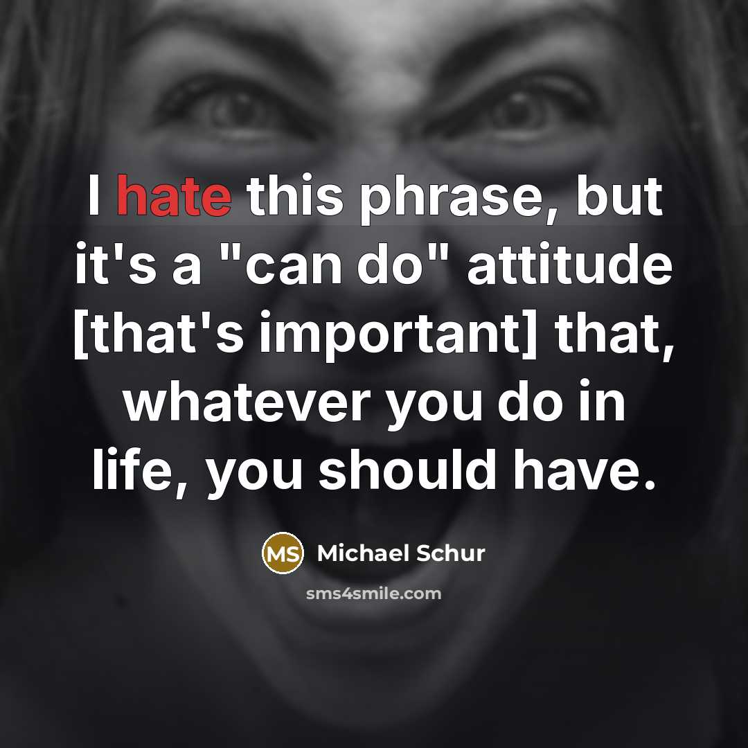 “I hate this phrase, but it's a "can do" attitude…” quote by Michael Schur