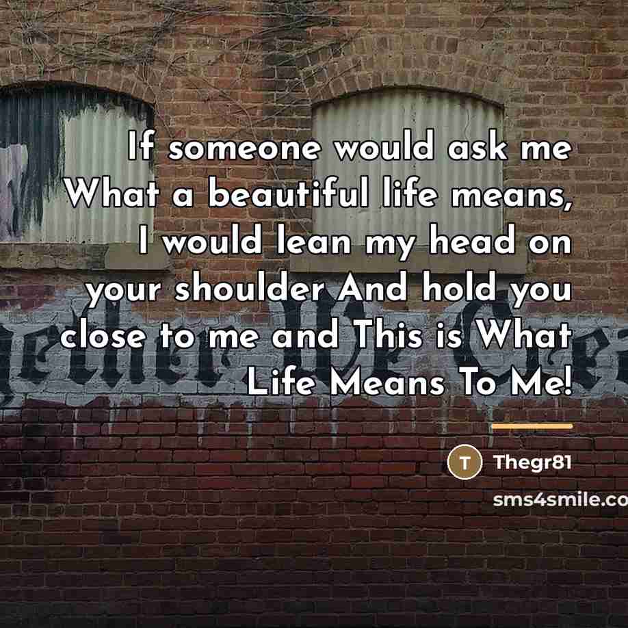 “If someone would ask me What a beautiful life means,…” quote by Thegr81