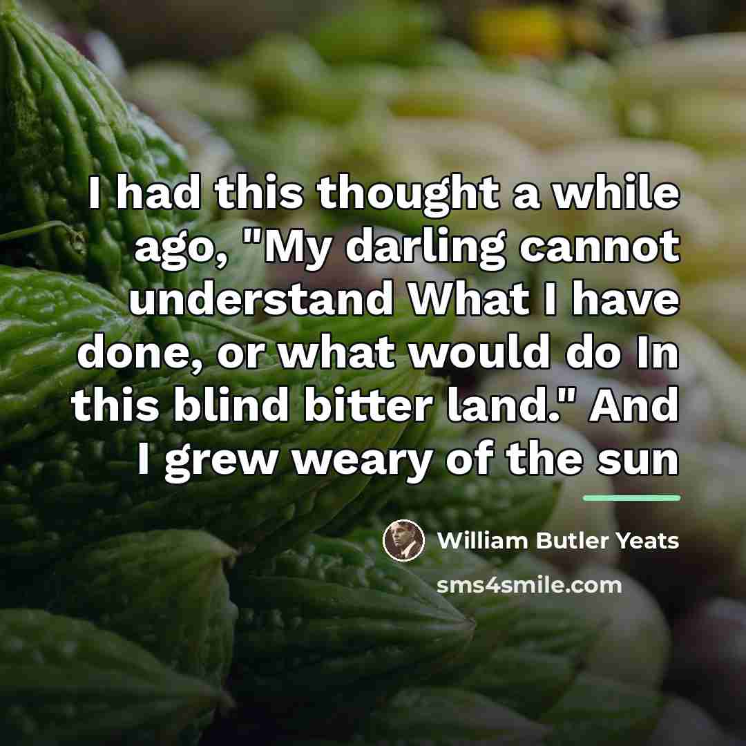 “I had this thought a while ago, "My darling cannot…” quote by William Butler Yeats