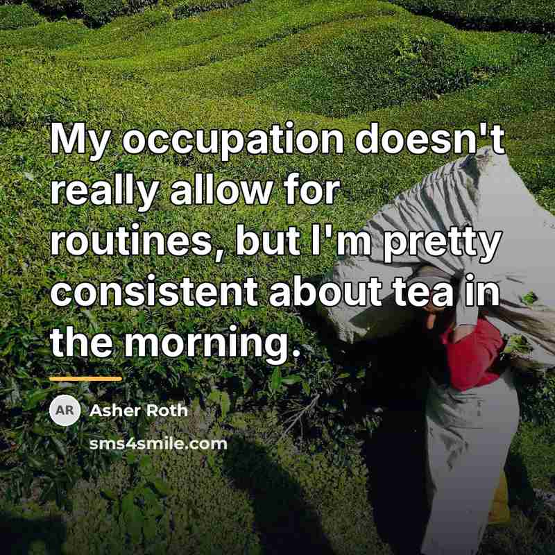 “My occupation doesn't really allow for routines, but I'm pretty…” quote by Asher Roth