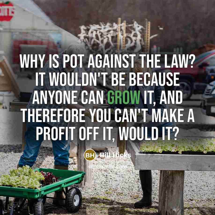 “Why is pot against the law? It wouldn't be because anyone can grow it, and therefore you can't make a profit off it, would it?” quote by Bill Hicks