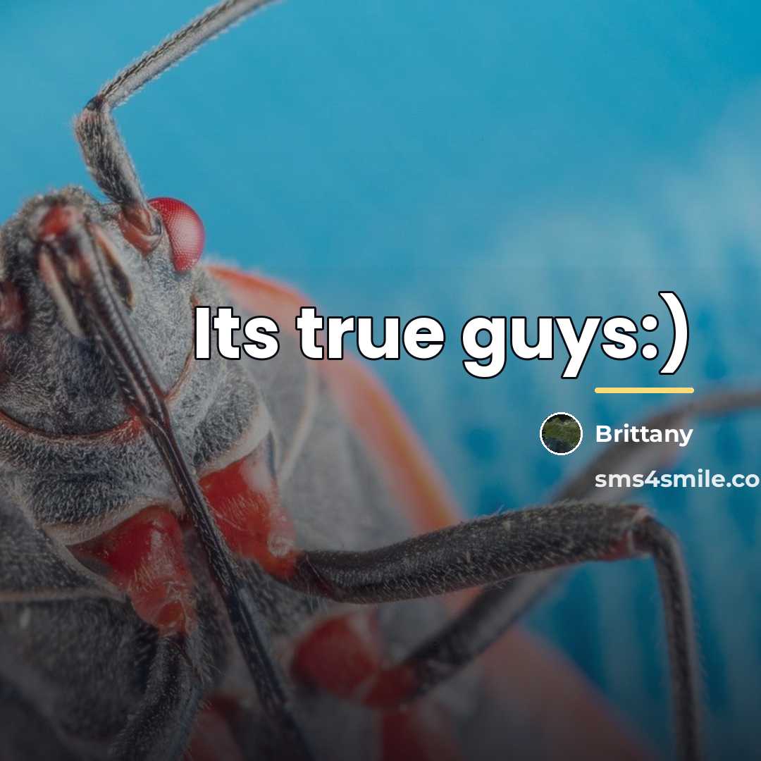 “Its true guys:)…” quote by Brittany