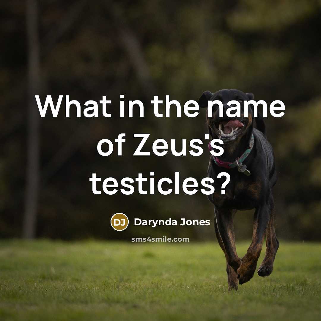 “What in the name of Zeus's testicles?…” quote by Darynda Jones