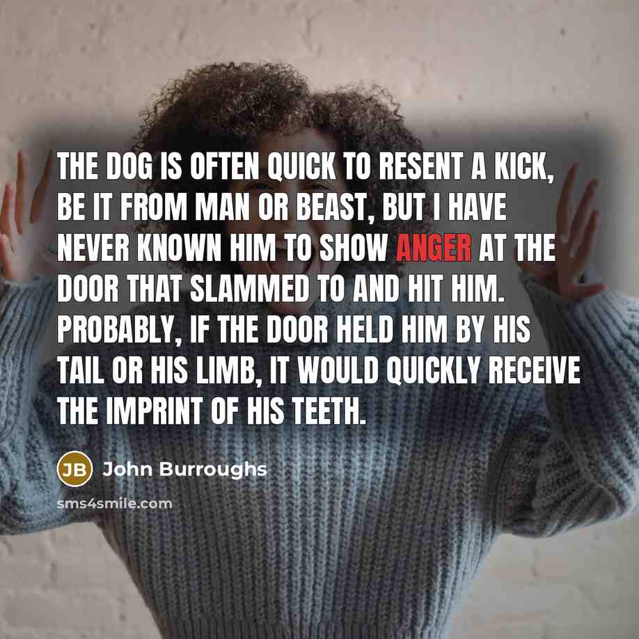 “The dog is often quick to resent a kick, be…” quote by John Burroughs