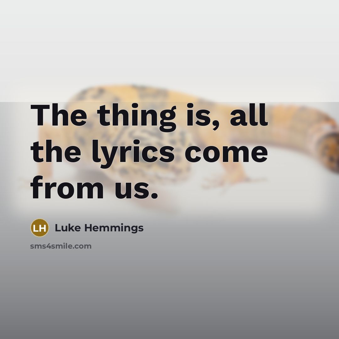 “The thing is, all the lyrics come from us.…” quote by Luke Hemmings
