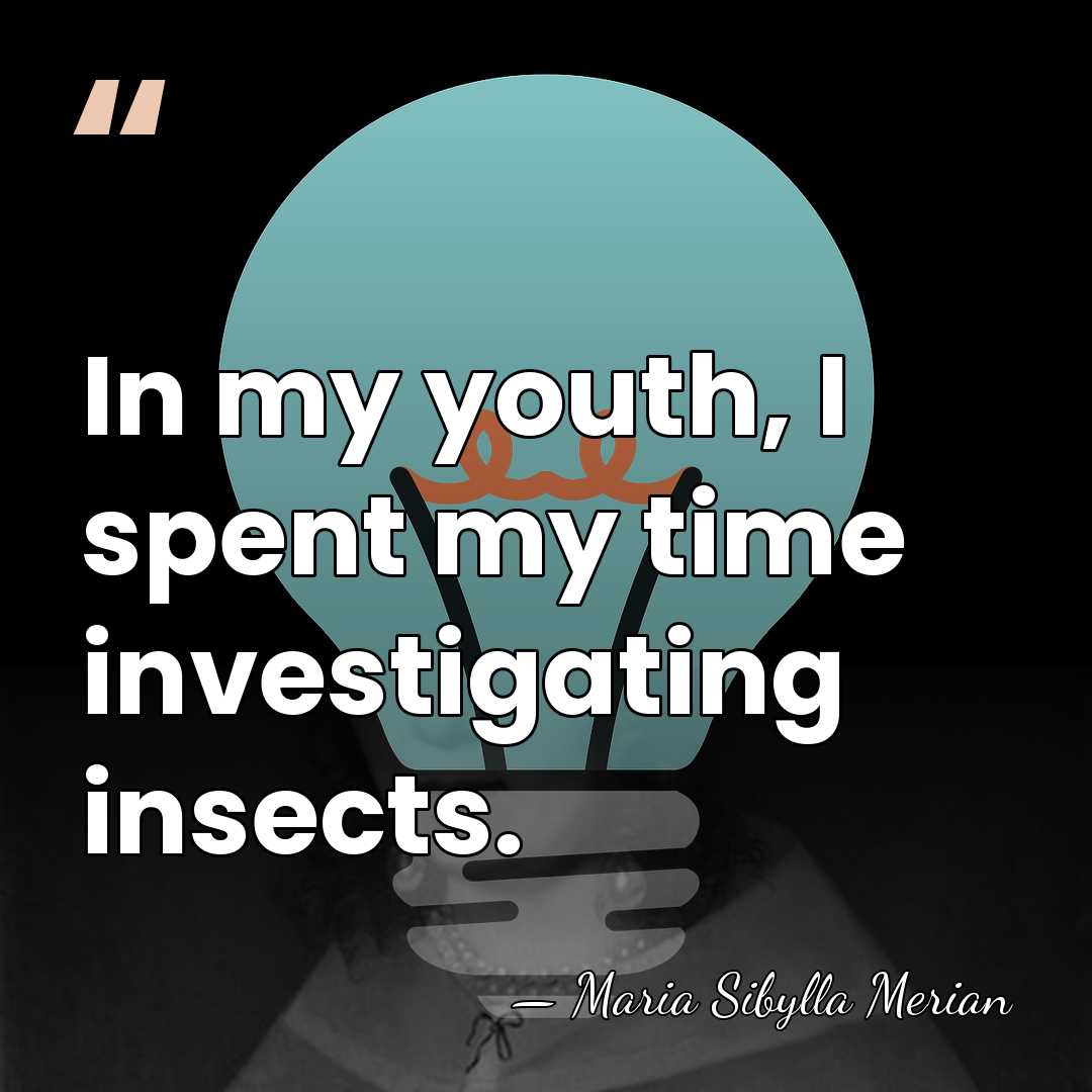 In my youth, I spent my time investigating insects. - Maria Sibylla Merian