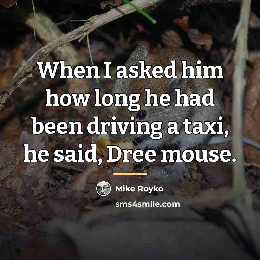 “When I asked him how long he had been driving…” quote by Mike Royko