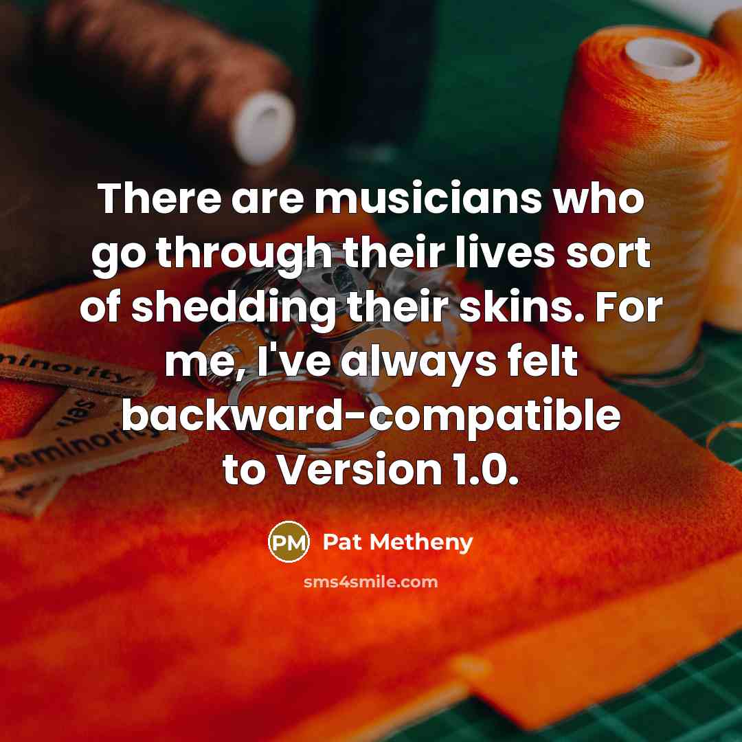 “There are musicians who go through their lives sort of…” quote by Pat Metheny