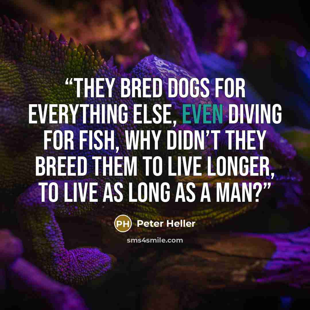 “They bred dogs for everything else, even diving for fish, why didn’t they breed them to live longer, to live as long as a man?” quote by Peter Heller