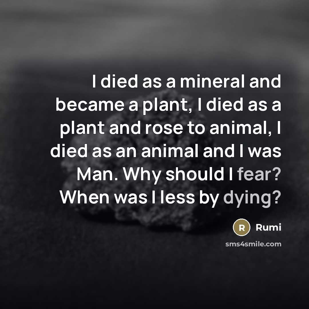 “I died as a mineral and became a plant, I…” quote by Rumi