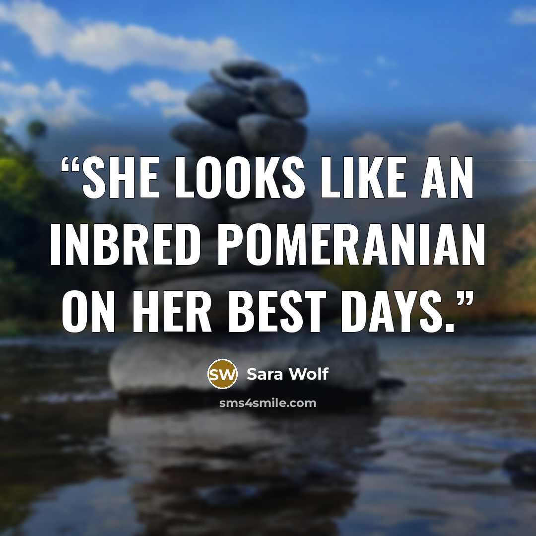 “She looks like an inbred Pomeranian on her best days.” quote by Sara Wolf