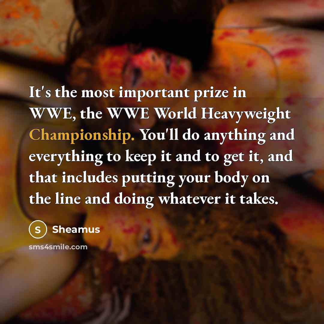 “It's the most important prize in WWE, the WWE World…” quote by Sheamus