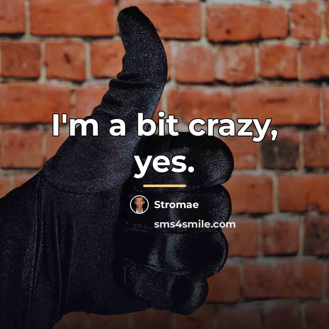 “I'm a bit crazy, yes.…” quote by Stromae