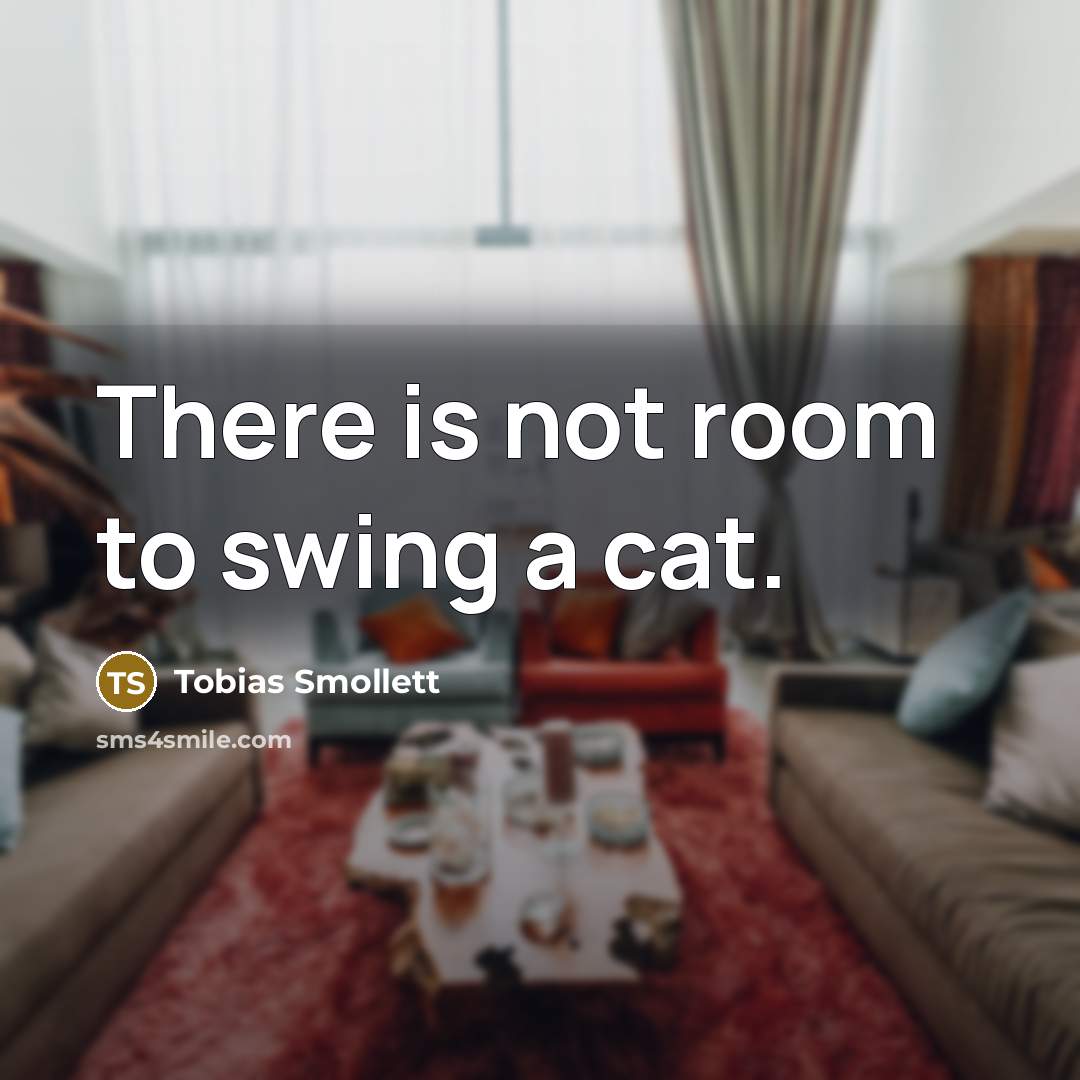 “There is not room to swing a cat.…” quote by Tobias Smollett