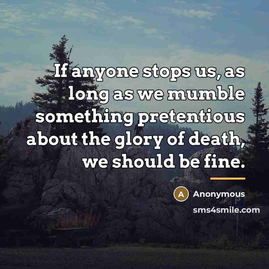 “If anyone stops us, as long as we mumble something…” quote by Anonymous