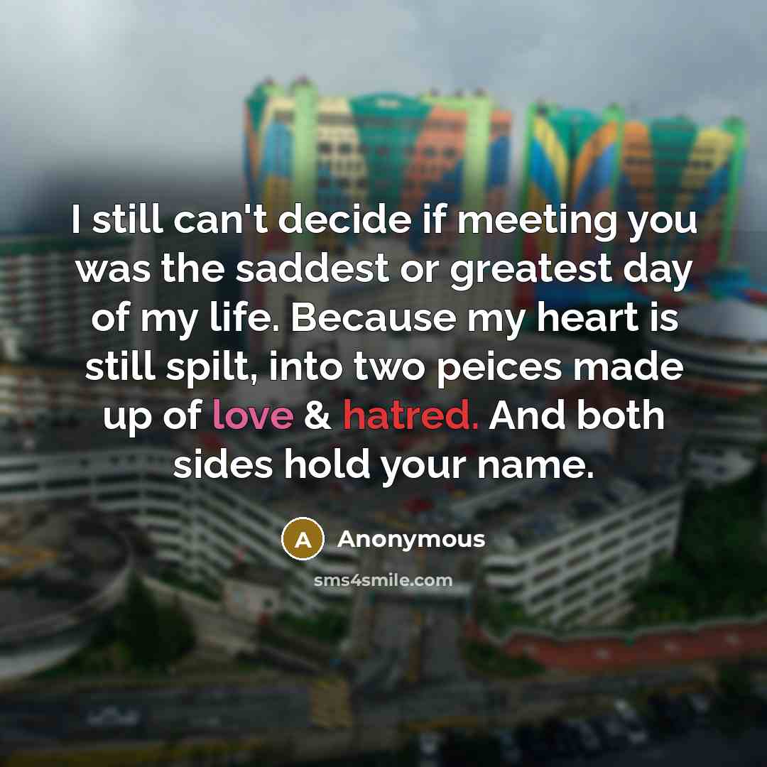 “I still can't decide if meeting you was the saddest…” quote by Anonymous