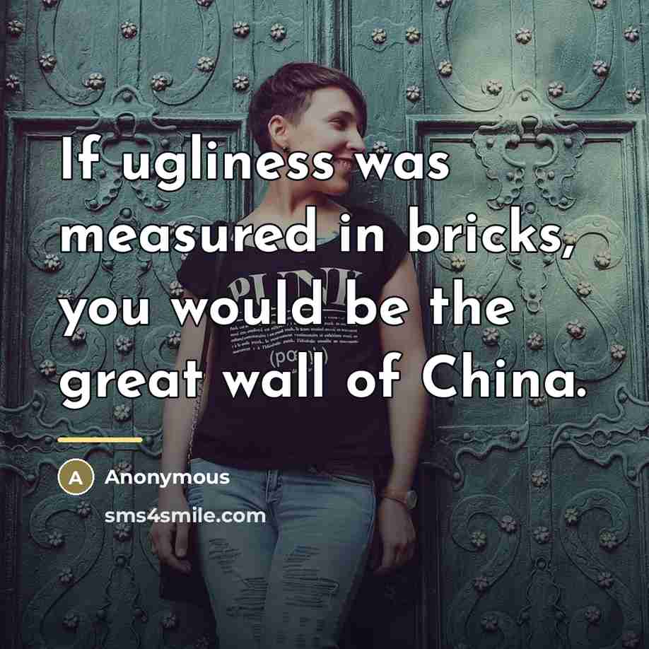 “If ugliness was measured in bricks, you would be the…” quote by Anonymous