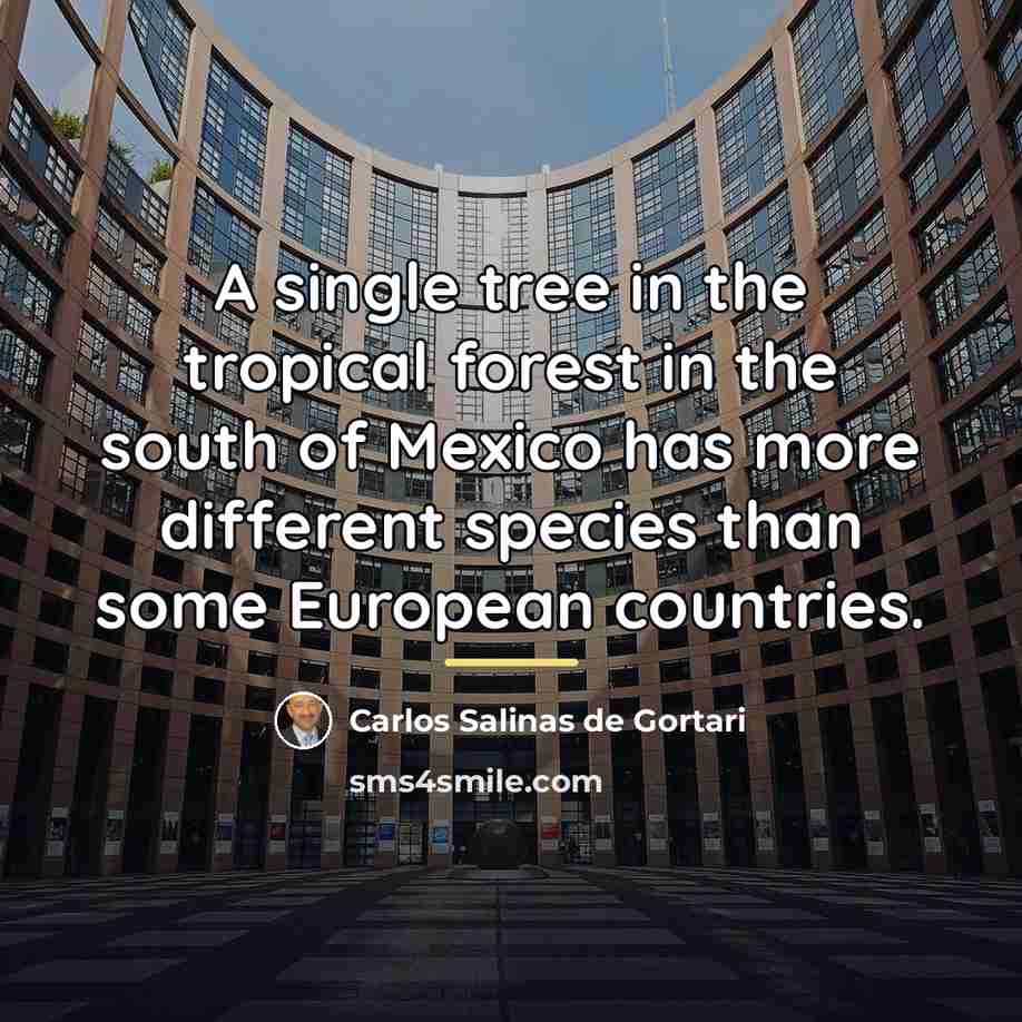 “A single tree in the tropical forest in the south…” quote by Carlos Salinas de Gortari
