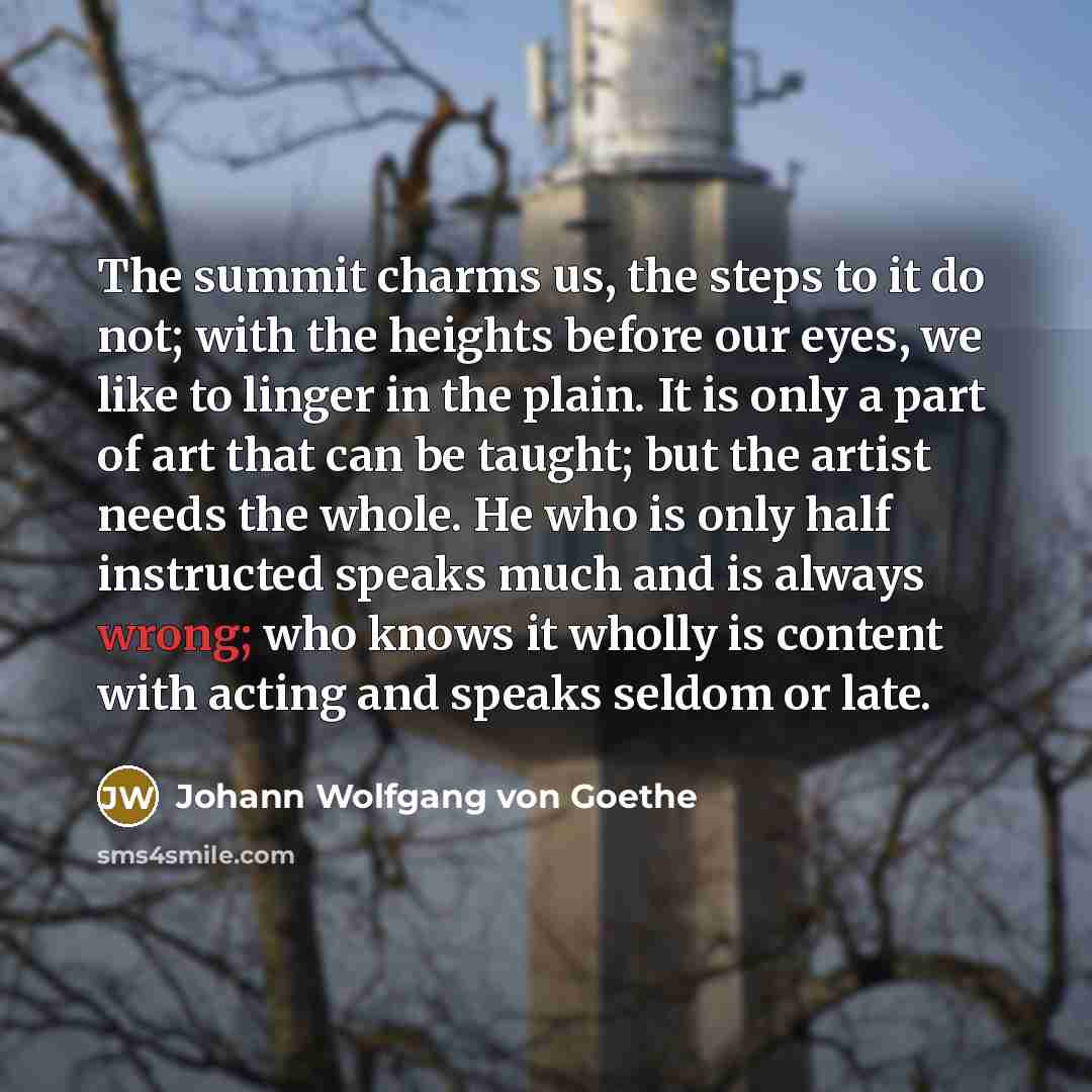 “The summit charms us, the steps to it do not;…” quote by Johann Wolfgang von Goethe