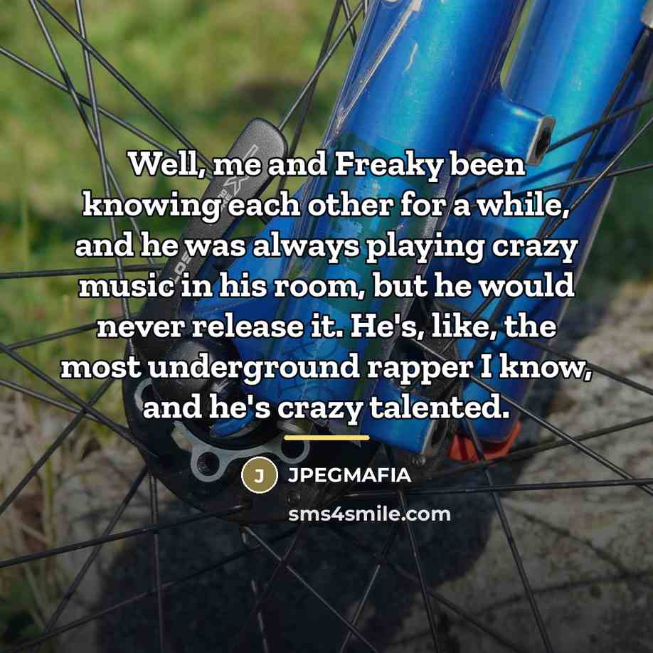 “Well, me and Freaky been knowing each other for a…” quote by JPEGMAFIA