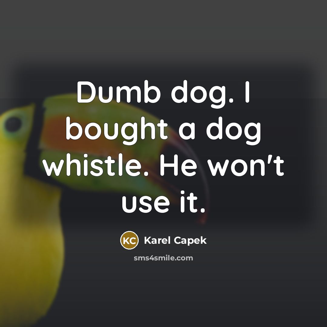 “Dumb dog. I bought a dog whistle. He won't use it.” quote by Karel Capek