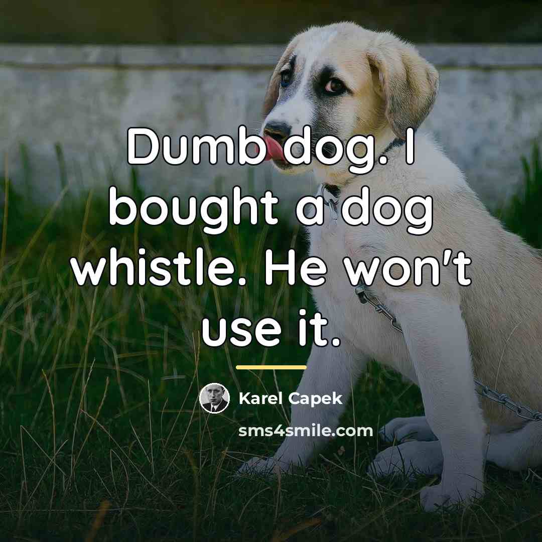 “Dumb dog. I bought a dog whistle. He won't use…” quote by Karel Capek
