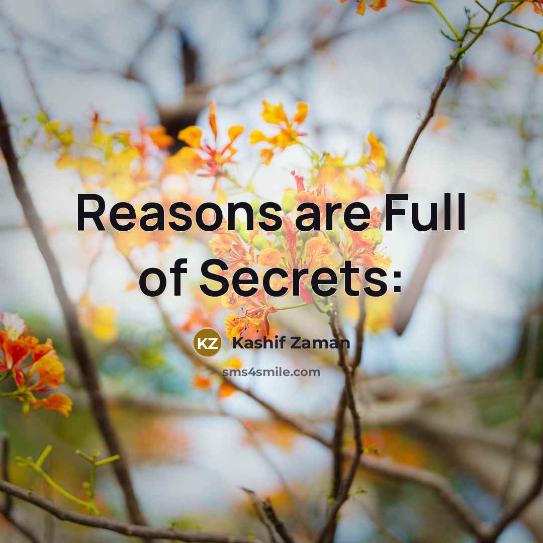 “Reasons are Full of Secrets:…” quote by Kashif Zaman