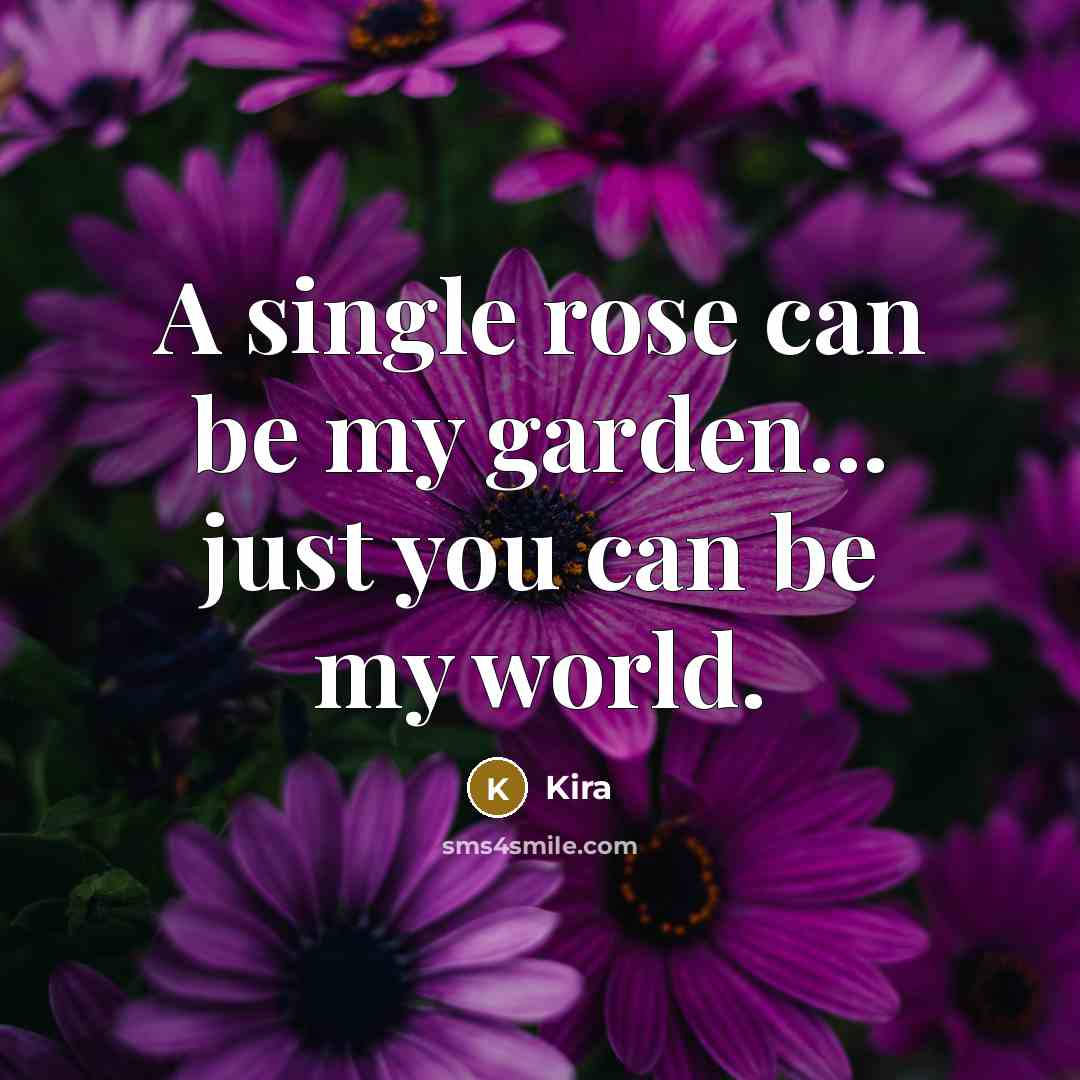 “A single rose can be my garden... just you can be my world.” quote by Kira