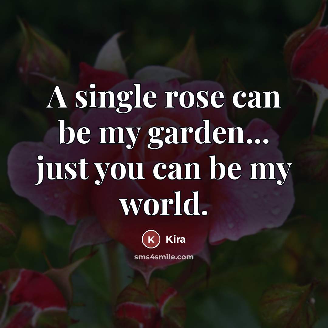 “A single rose can be my garden... just you can…” quote by Kira