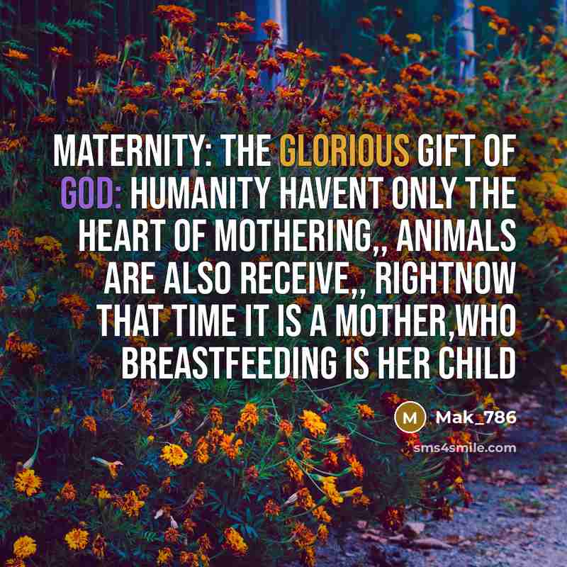 “Maternity: the glorious gift of God: humanity havent only the…” quote by Mak_786