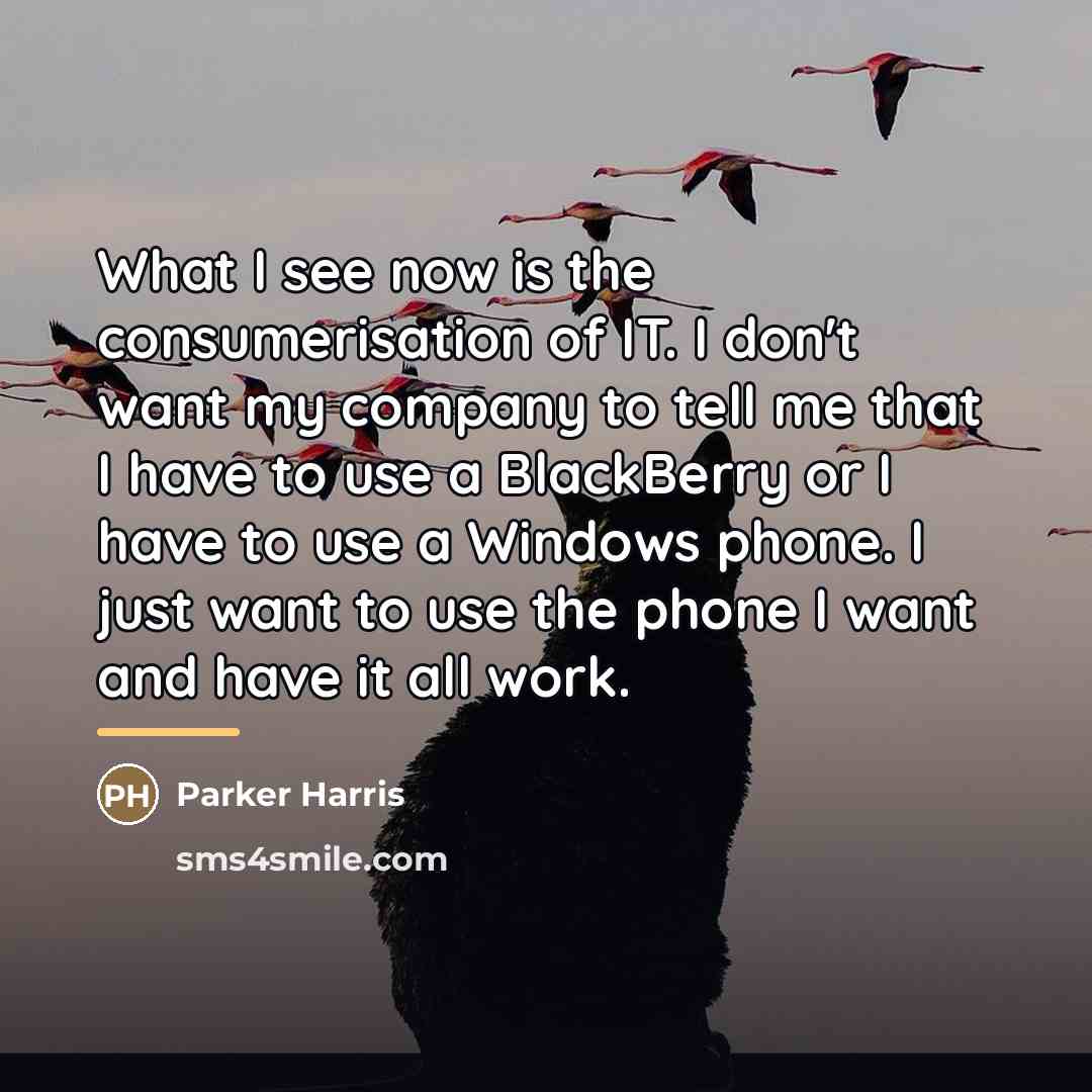 “What I see now is the consumerisation of IT. I…” quote by Parker Harris