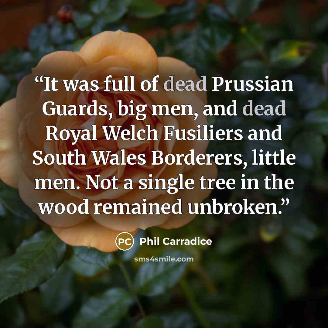 “It was full of dead Prussian Guards, big men, and dead Royal Welch Fusiliers and South Wales Borderers, little men. Not a single tree in the wood remained unbroken.” quote by Phil Carradice
